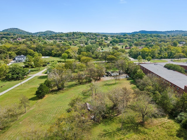 4309 Cato Rd, Nashville, TN 37218 - photo 12