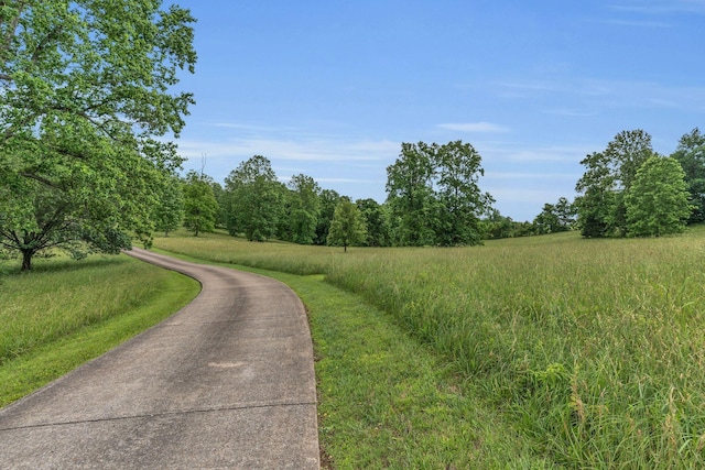 904 Weeping Willow Rd, Hendersonville, TN 37075 - photo 61