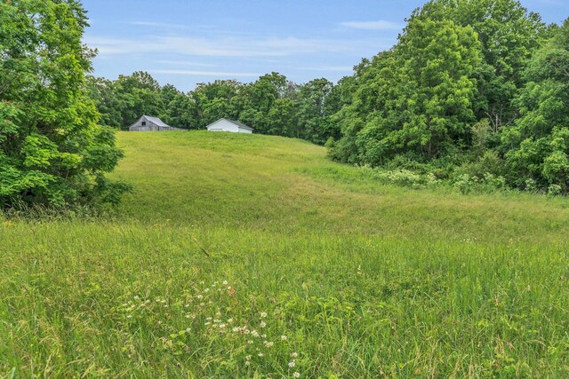 904 Weeping Willow Rd, Hendersonville, TN 37075 - photo 64