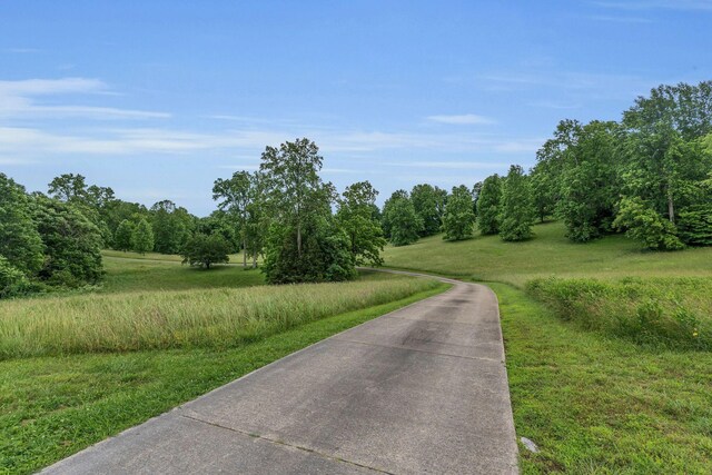904 Weeping Willow Rd, Hendersonville, TN 37075 - photo 66