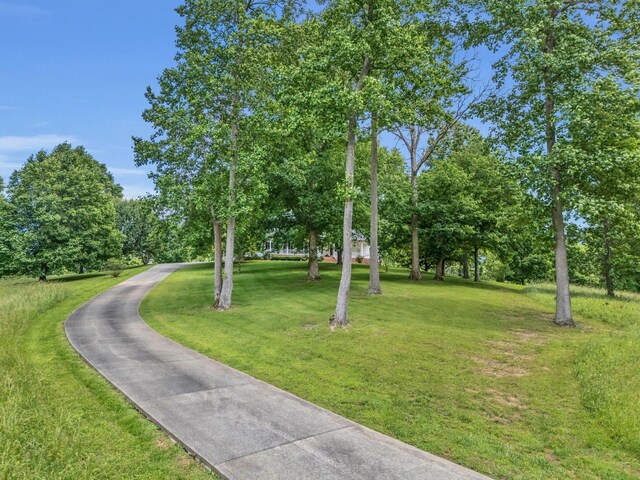 904 Weeping Willow Rd, Hendersonville, TN 37075 - photo 63