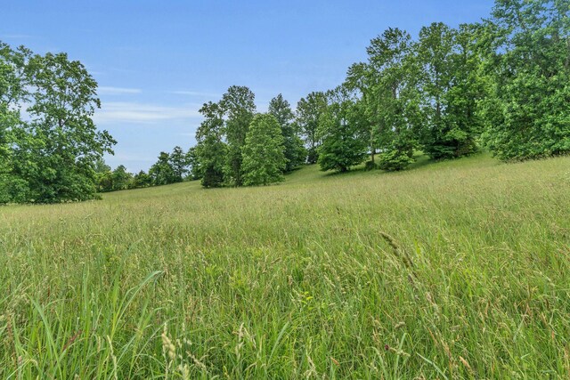 904 Weeping Willow Rd, Hendersonville, TN 37075 - photo 70