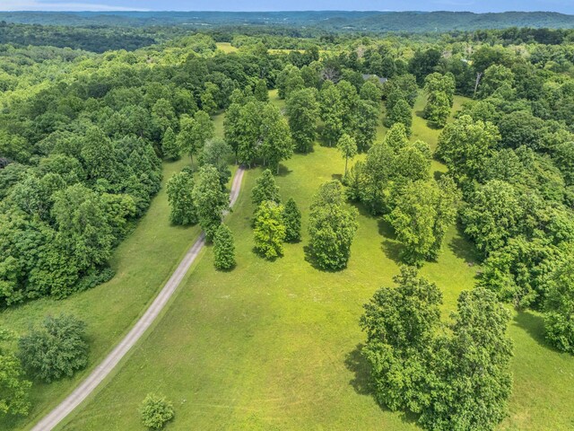904 Weeping Willow Rd, Hendersonville, TN 37075 - photo 60