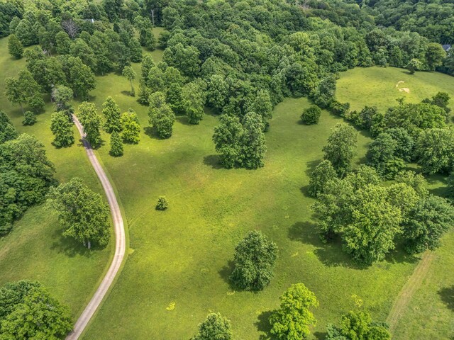 904 Weeping Willow Rd, Hendersonville, TN 37075 - photo 65