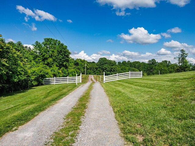 904 Weeping Willow Rd, Hendersonville, TN 37075 - photo 3