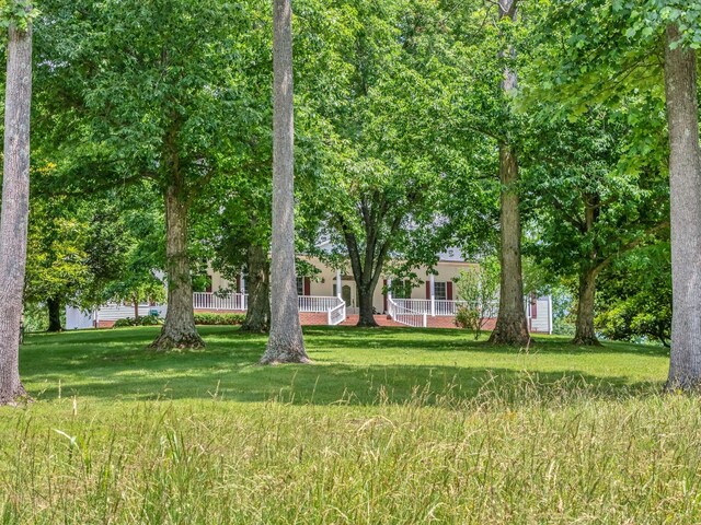 904 Weeping Willow Rd, Hendersonville, TN 37075 - photo 68