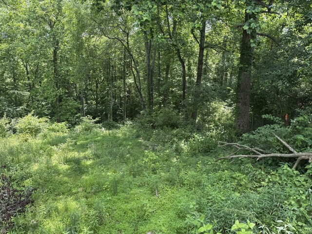 120 Margo Ct, Joelton, TN 37080 - photo 8