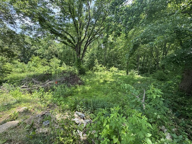 120 Margo Ct, Joelton, TN 37080 - photo 19
