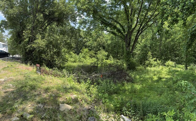 120 Margo Ct, Joelton, TN 37080 - photo 20