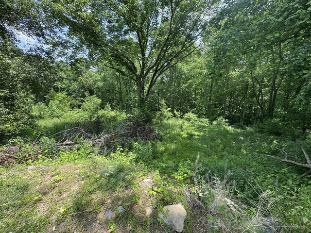 120 Margo Ct, Joelton, TN 37080 - photo 23