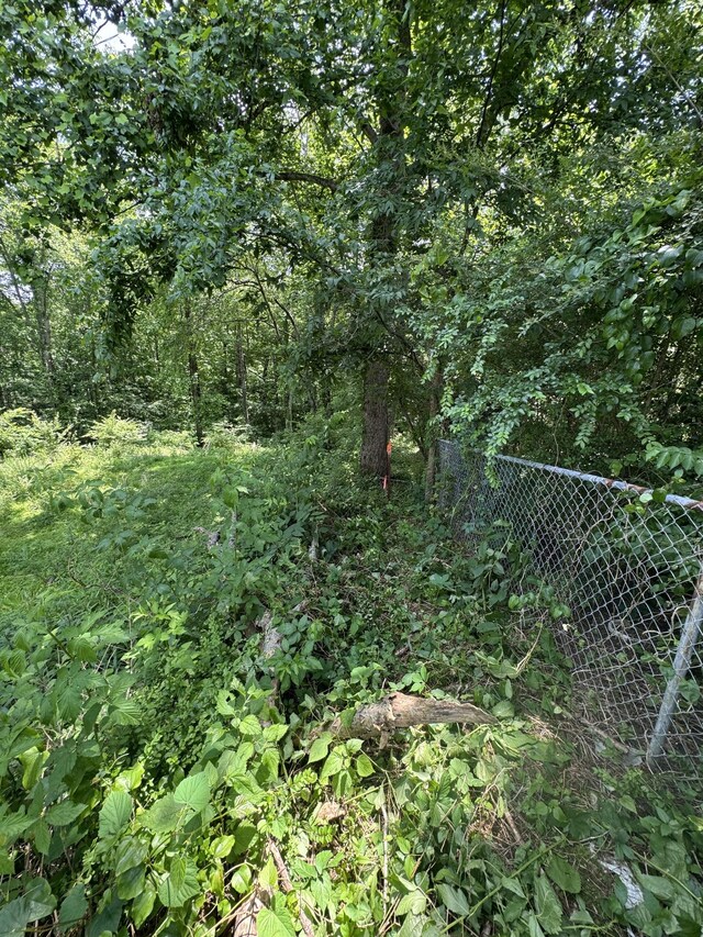 120 Margo Ct, Joelton, TN 37080 - photo 22