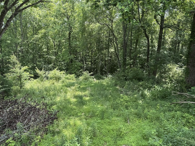 120 Margo Ct, Joelton, TN 37080 - photo 12