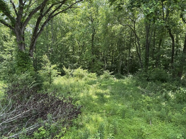120 Margo Ct, Joelton, TN 37080 - photo 13
