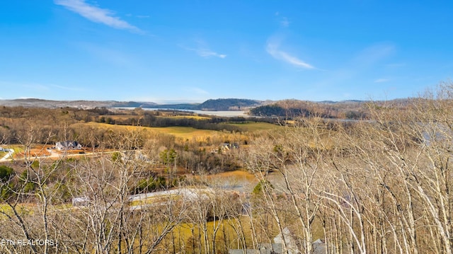 942 Eagle Nest Dr, Loudon, TN 37774 - photo 15
