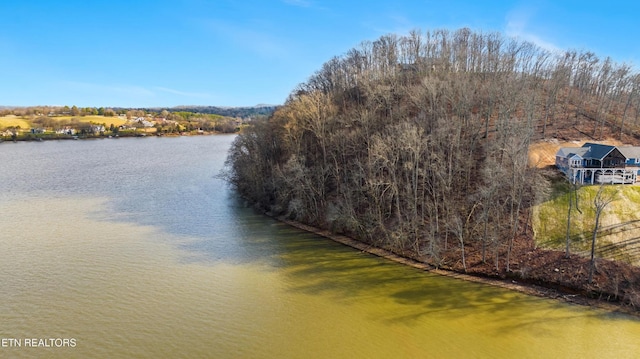 942 Eagle Nest Dr, Loudon, TN 37774 - photo 5