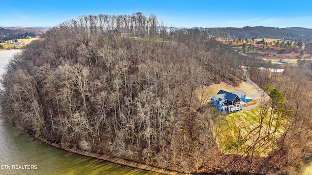 942 Eagle Nest Dr, Loudon, TN 37774 - photo 6
