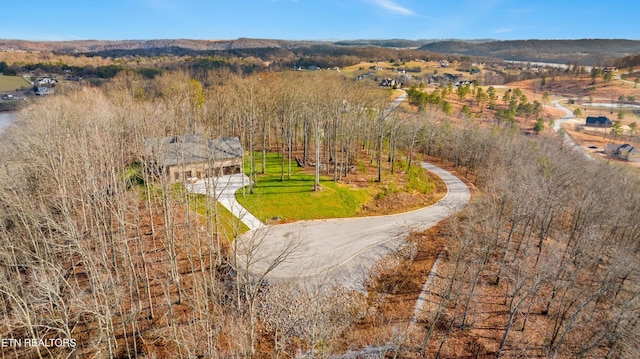 942 Eagle Nest Dr, Loudon, TN 37774 - photo 10