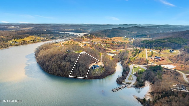 942 Eagle Nest Dr, Loudon, TN 37774 - photo 9