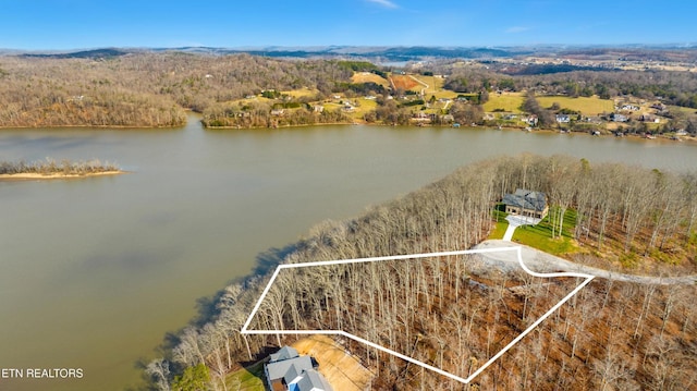 942 Eagle Nest Dr, Loudon, TN 37774 - photo 7