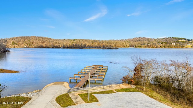 942 Eagle Nest Dr, Loudon, TN 37774 - photo 11