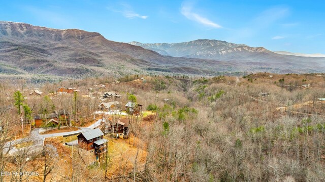 817 Pine Top Ln, Gatlinburg, TN 37738 - mountain view