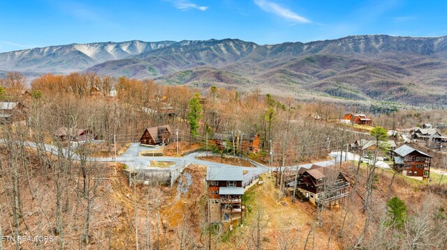 817 Pine Top Ln, Gatlinburg, TN 37738 - view of mountain background