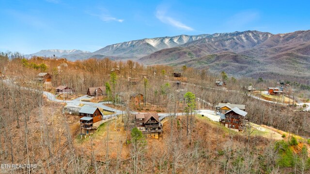 817 Pine Top Ln, Gatlinburg, TN 37738 - view of mountain background