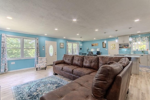 262 Purdy Rd, Selmer, TN 38375 - living area featuring recessed lighting, healthy amount of natural light, light wood-type flooring, and a textured ceiling