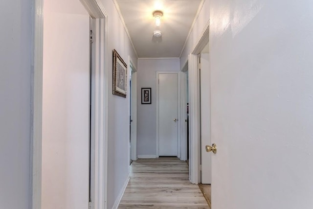 262 Purdy Rd, Selmer, TN 38375 - hall featuring light wood-style flooring, ornamental molding, and baseboards