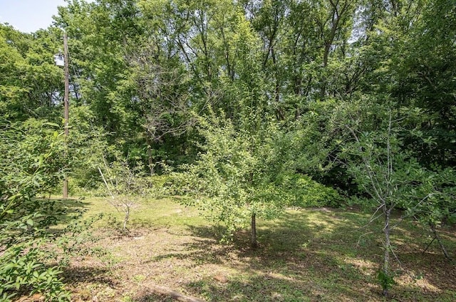262 Purdy Rd, Selmer, TN 38375 - view of woods
