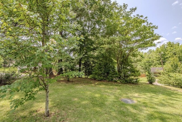 262 Purdy Rd, Selmer, TN 38375 - view of grassy yard
