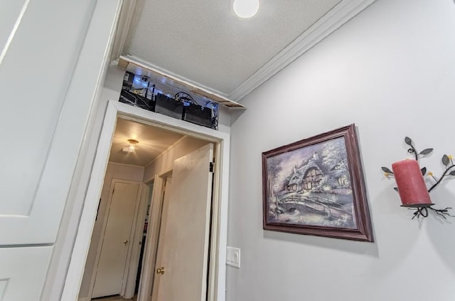 262 Purdy Rd, Selmer, TN 38375 - hallway featuring ornamental molding and a textured ceiling