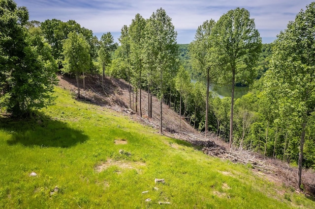 27 Opal Pt, Smithville, TN 37166 - photo 9