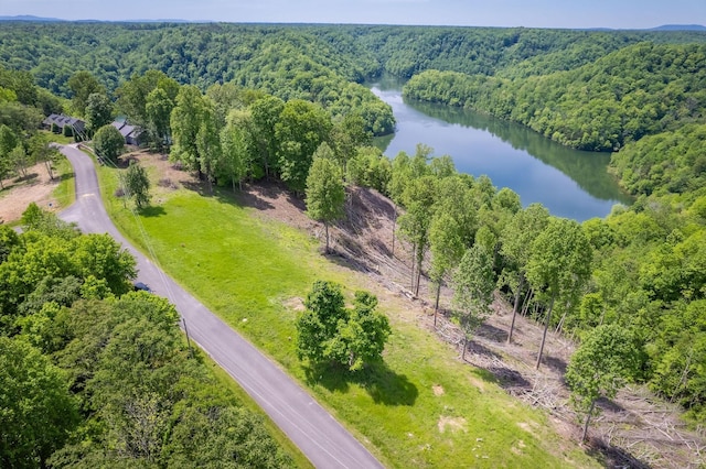 27 Opal Pt, Smithville, TN 37166 - photo 4