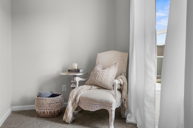 6787 Dharma Loop, Chattanooga, TN 37412 - living area with carpet and baseboards