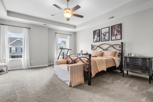 6787 Dharma Loop, Chattanooga, TN 37412 - carpeted bedroom with multiple windows, a tray ceiling, baseboards, and a ceiling fan