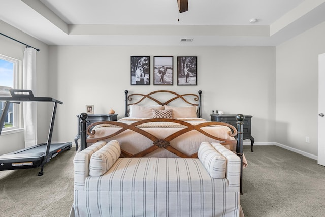 6787 Dharma Loop, Chattanooga, TN 37412 - bedroom featuring carpet flooring, baseboards, a raised ceiling, and ceiling fan