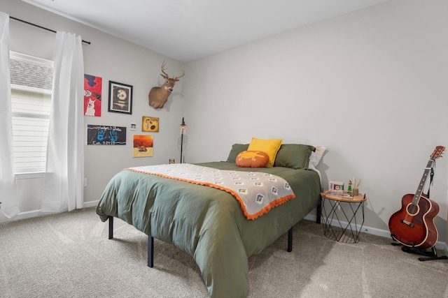 6787 Dharma Loop, Chattanooga, TN 37412 - bedroom with carpet flooring and baseboards