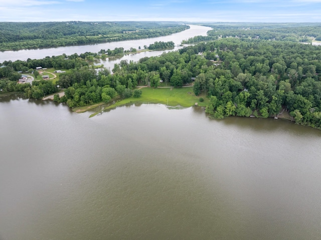 4053 Deer Creek Rd, Linden, TN 37096 - bird's eye view of a nearby body of water and a forest