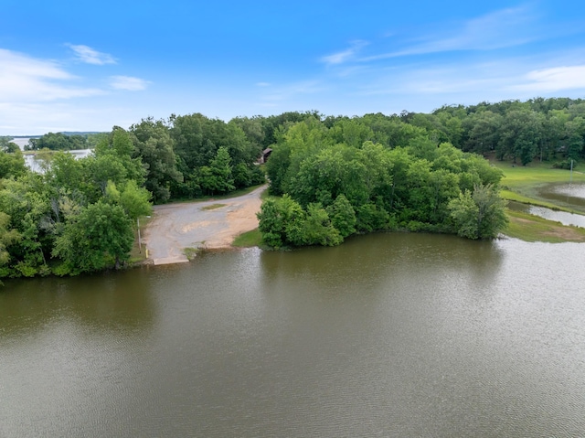 4053 Deer Creek Rd, Linden, TN 37096 - aerial view of a large body of water