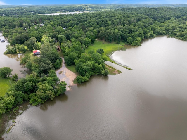4053 Deer Creek Rd, Linden, TN 37096 - aerial view of a large body of water and a forest