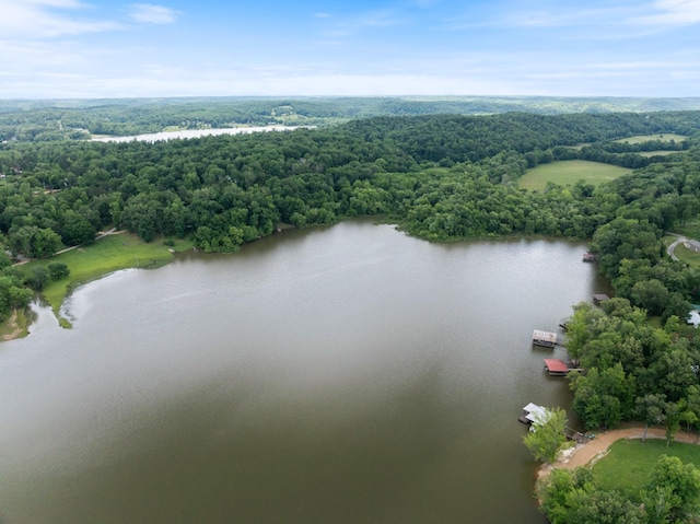 4053 Deer Creek Rd, Linden, TN 37096 - bird's eye view of a nearby body of water and a forest