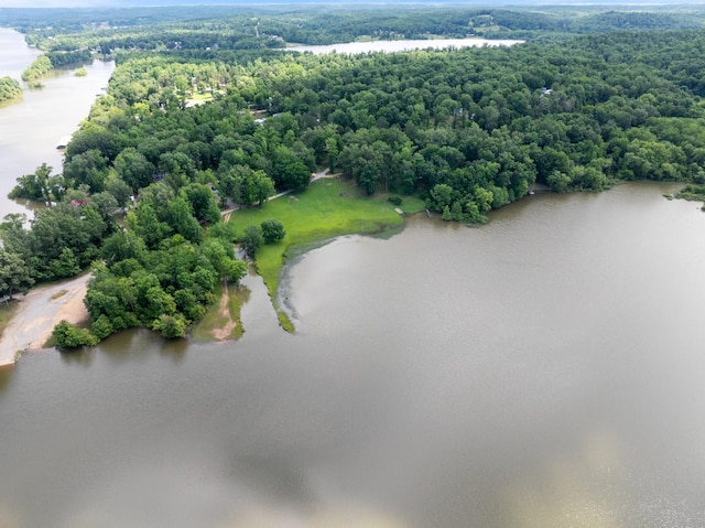 4053 Deer Creek Rd, Linden, TN 37096 - aerial view of a nearby body of water and a forest