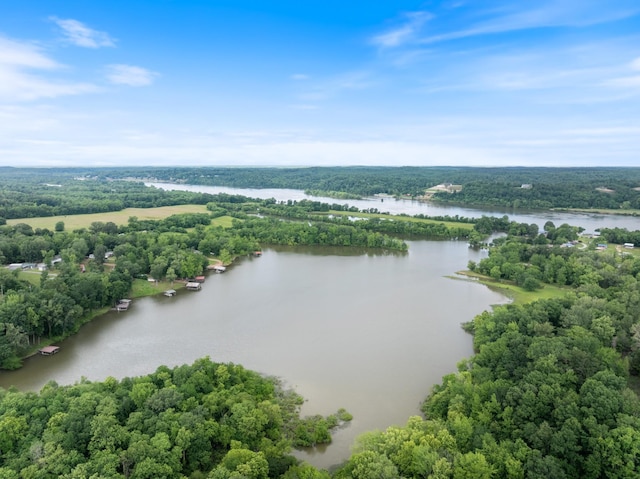 4053 Deer Creek Rd, Linden, TN 37096 - aerial view of a nearby body of water and a forest