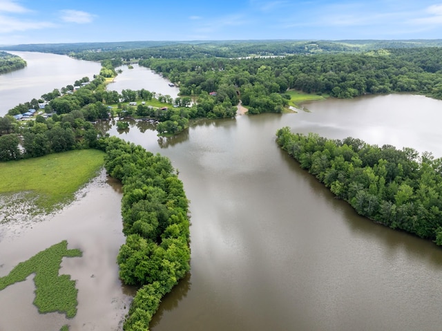 4053 Deer Creek Rd, Linden, TN 37096 - bird's eye view of a nearby body of water and a heavily wooded area