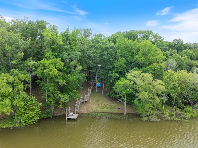 4053 Deer Creek Rd, Linden, TN 37096 - view from above of property with a nearby body of water