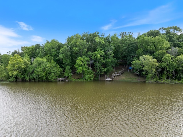 4053 Deer Creek Rd, Linden, TN 37096 - water view
