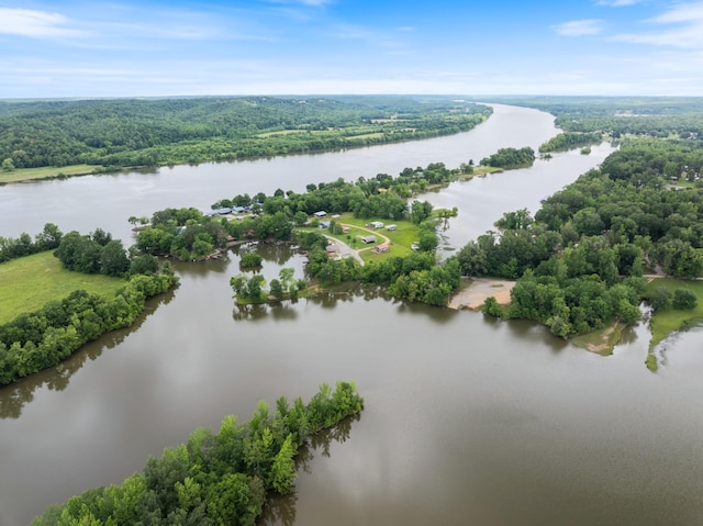 4053 Deer Creek Rd, Linden, TN 37096 - drone / aerial view of a large body of water and a heavily wooded area