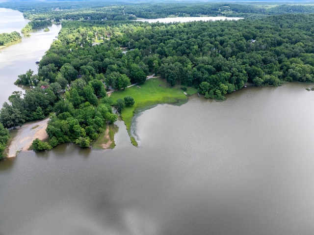 4053 Deer Creek Rd, Linden, TN 37096 - aerial view of a large body of water and a heavily wooded area