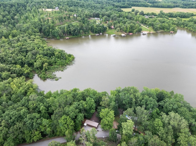 4053 Deer Creek Rd, Linden, TN 37096 - aerial view of a nearby body of water and a heavily wooded area